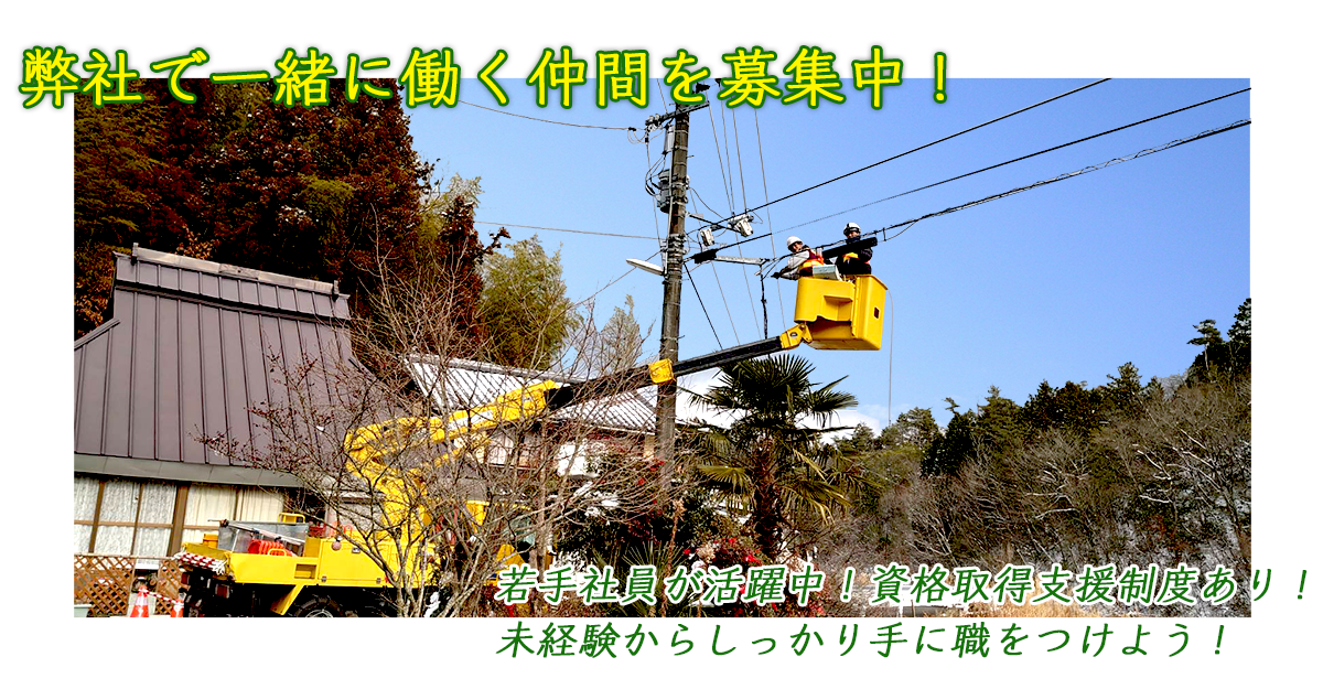 弊社で一緒に働く仲間を募集中！若手社員が活躍中！資格取得支援制度あり！未経験からしっかり手に職をつけよう！